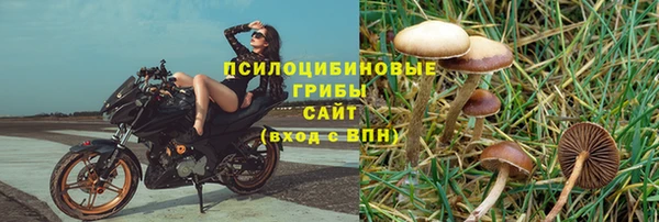 стафф Арсеньев